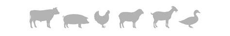 prada alimentari bioggio